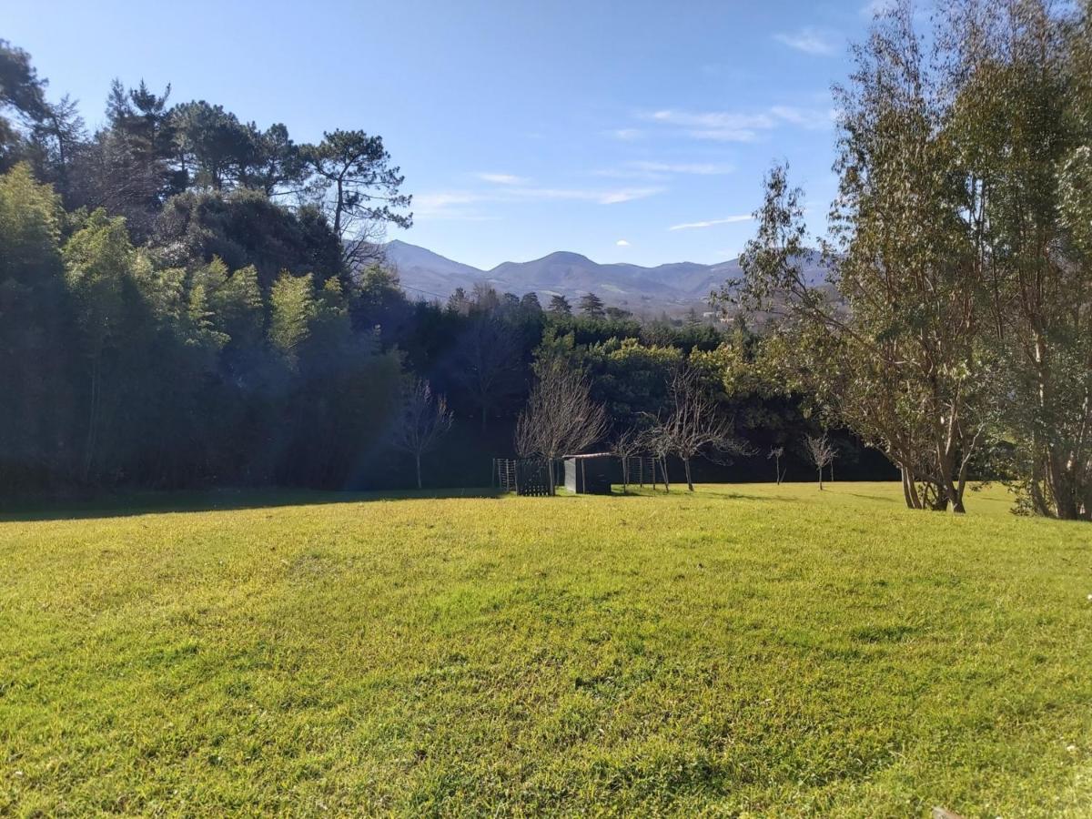 Appartement 3*** Avec Jardin Et Wifi A Proximite De Saint Jean De Luz - Fr-1-239-504 Ascain Eksteriør billede