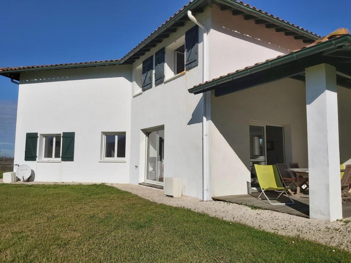 Appartement 3*** Avec Jardin Et Wifi A Proximite De Saint Jean De Luz - Fr-1-239-504 Ascain Eksteriør billede