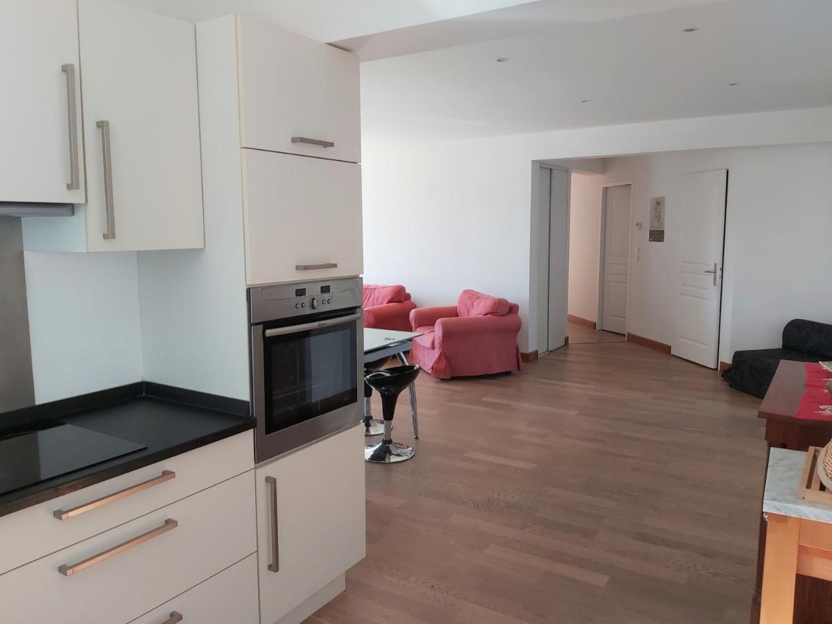 Appartement 3*** Avec Jardin Et Wifi A Proximite De Saint Jean De Luz - Fr-1-239-504 Ascain Eksteriør billede